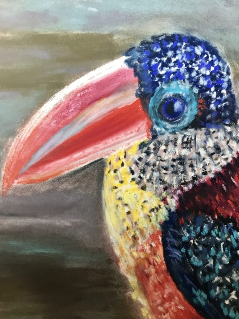 Curly arasari. Colourful funny bird original pastel painting on pastelmat