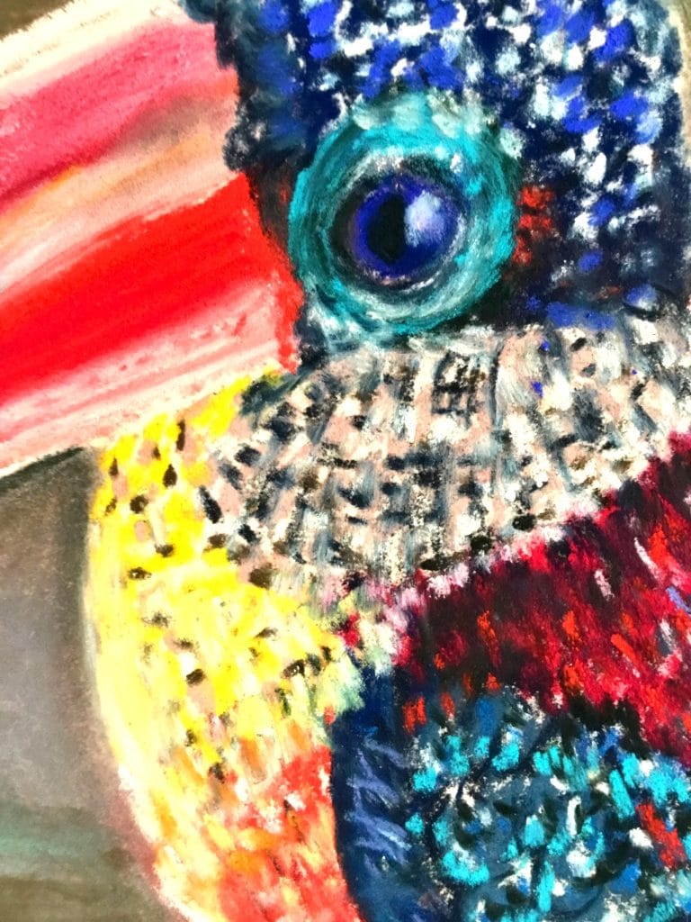 Curly arasari. Colourful funny bird original pastel painting on pastelmat