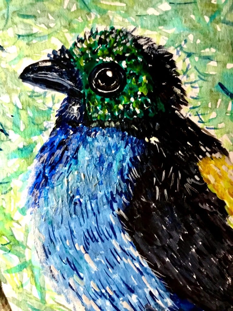 Paradise Tanagra exotic bird watercolour original painting for sale