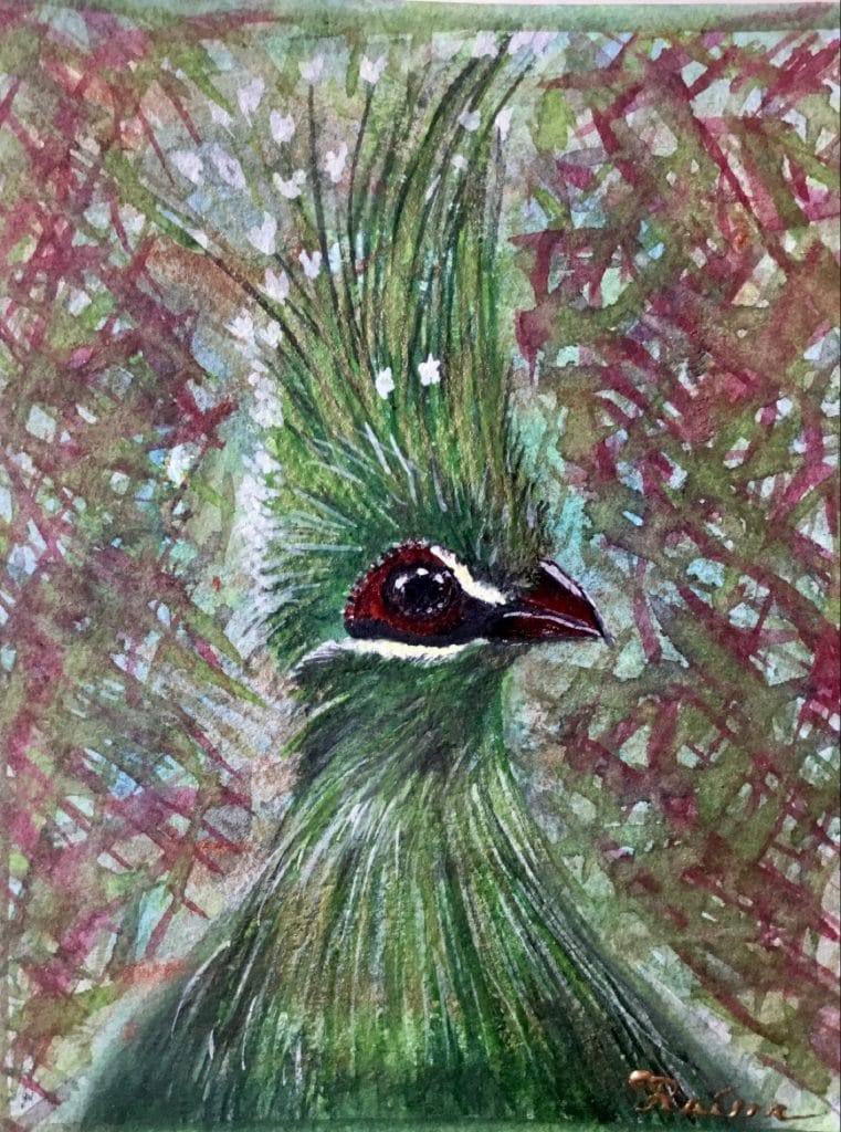 Green turaco bird original watercolour painting