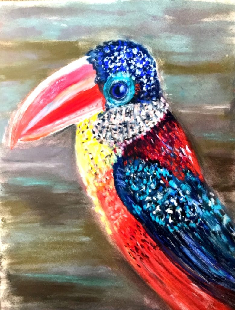 Curly arasari. Colourful funny bird original pastel painting on pastelmat