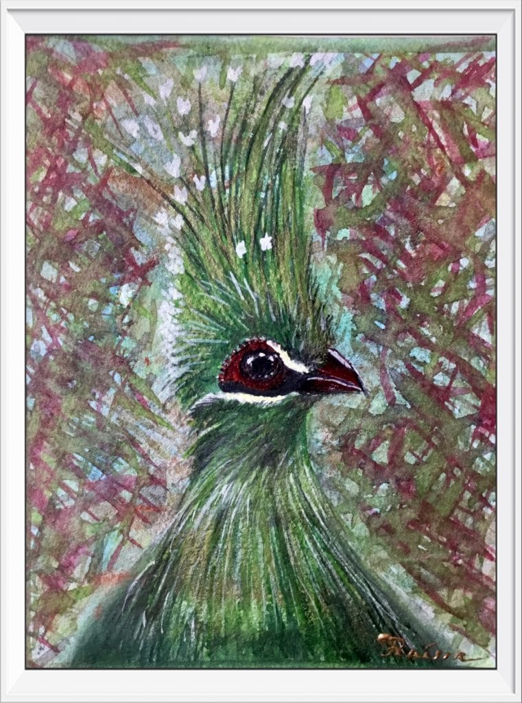 Green turaco bird original watercolour painting