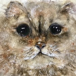 Persian cat painting for sale