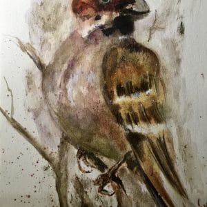 Bullfinch bird watercolor painting for sale