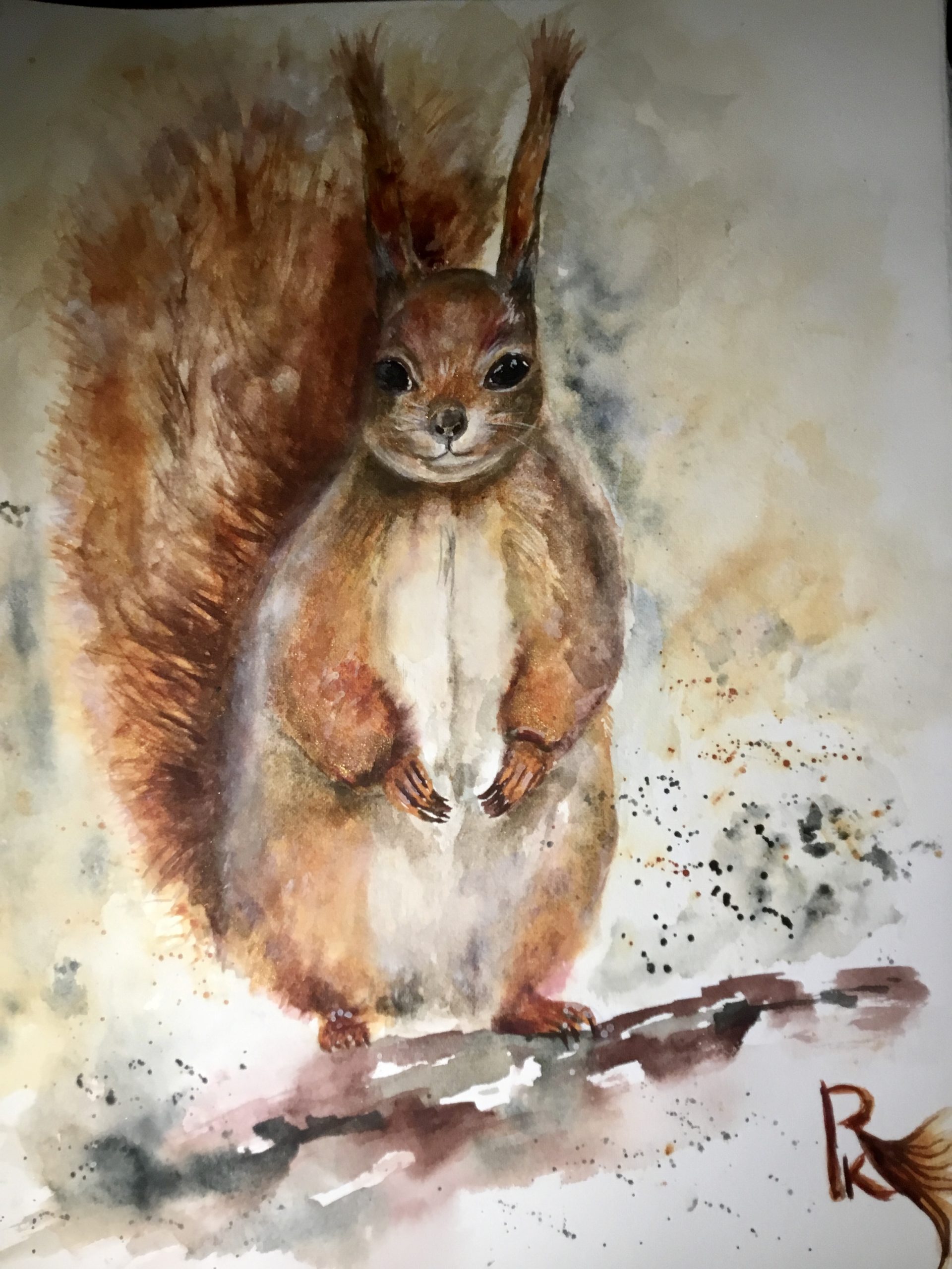 Squirrel original watercolouR