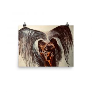 Chinese crested dog poster