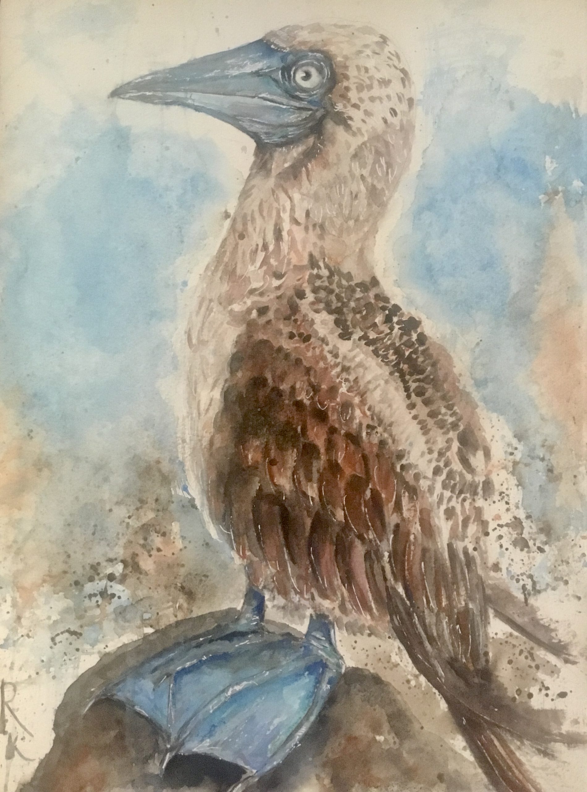 Blue booby painting