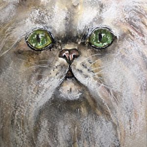 White persian cat poster