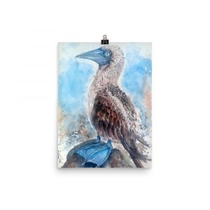 premium-luster-photo-paper-poster-in-12×16-transparent-640f8fe5cc194.jpg Blue booby painting