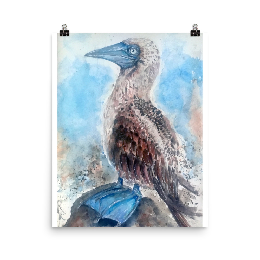 Blue booby painting
