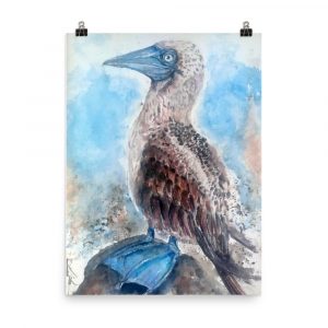 Blue booby painting