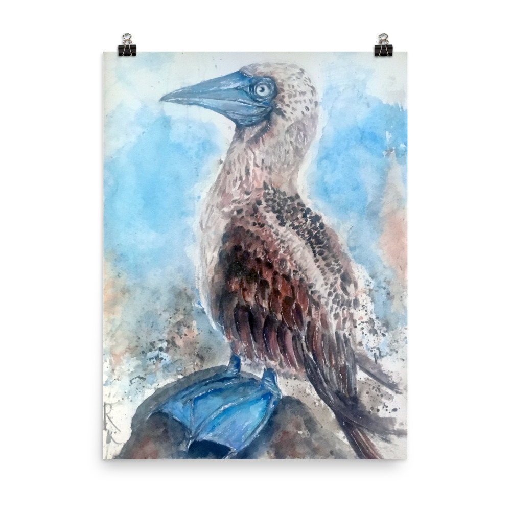 Blue booby painting