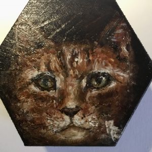 Cat wooden box