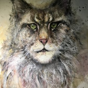 Meine Coon cat original watercolor painting