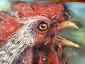 Red rooster original soft pastel painting on cardboard 