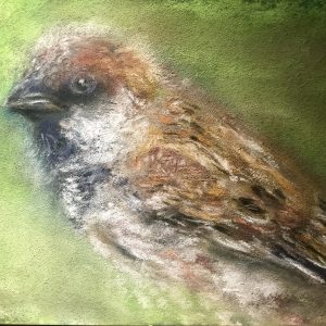 Sparrow bird original soft pastel painting