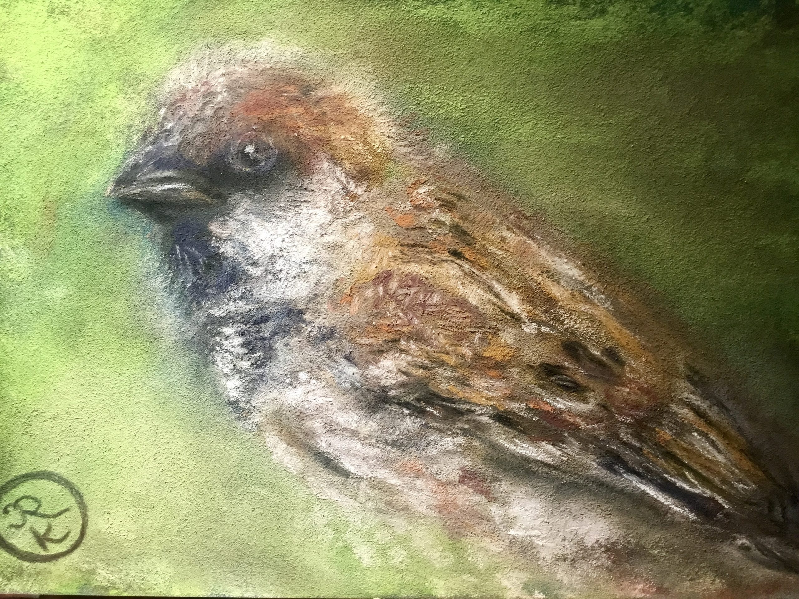 Sparrow bird original soft pastel painting