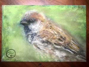 Sparrow bird original soft pastel painting