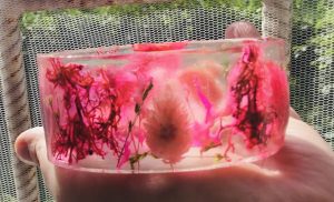 Pink grass bangle,women jewellery gifts