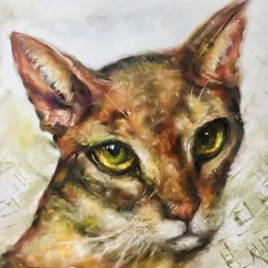 Abyssinean cat painting