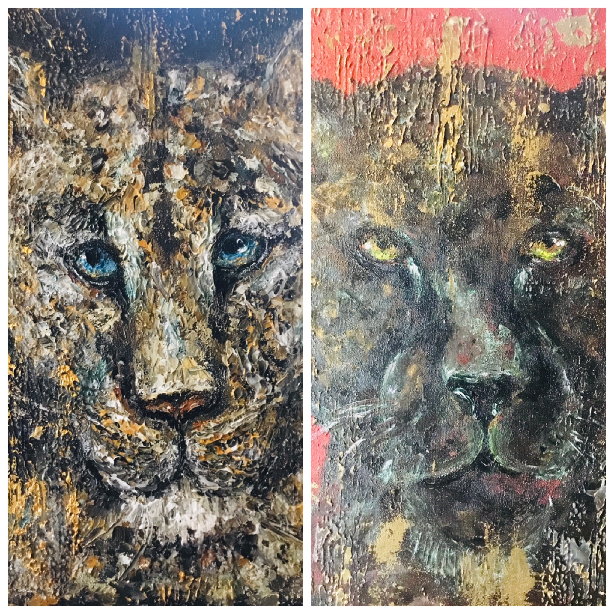 Puma paintings