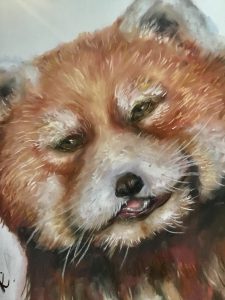 Red panda painting