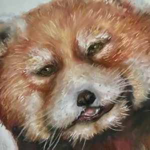 Red panda painting Red panda painting