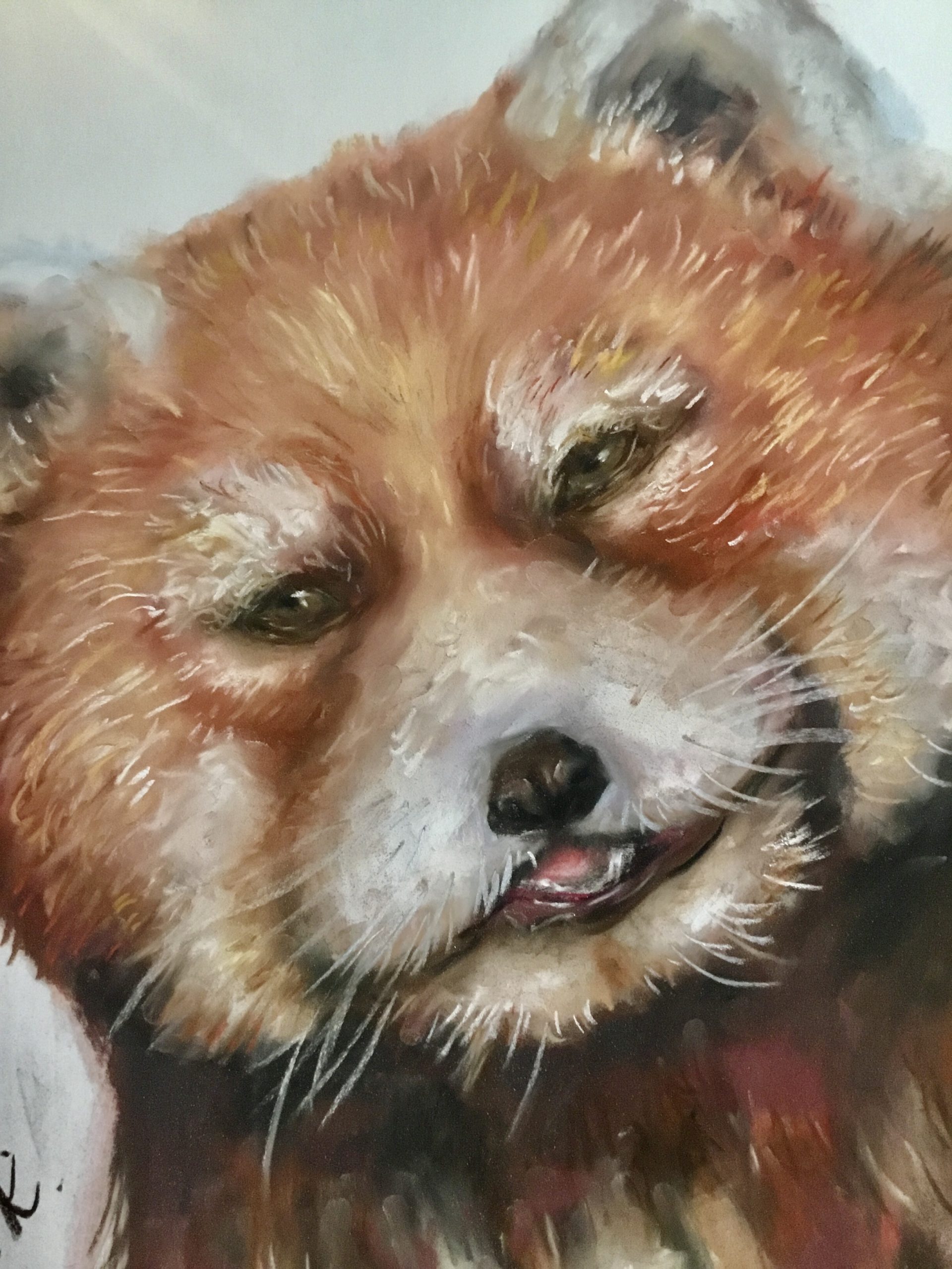 Red panda painting