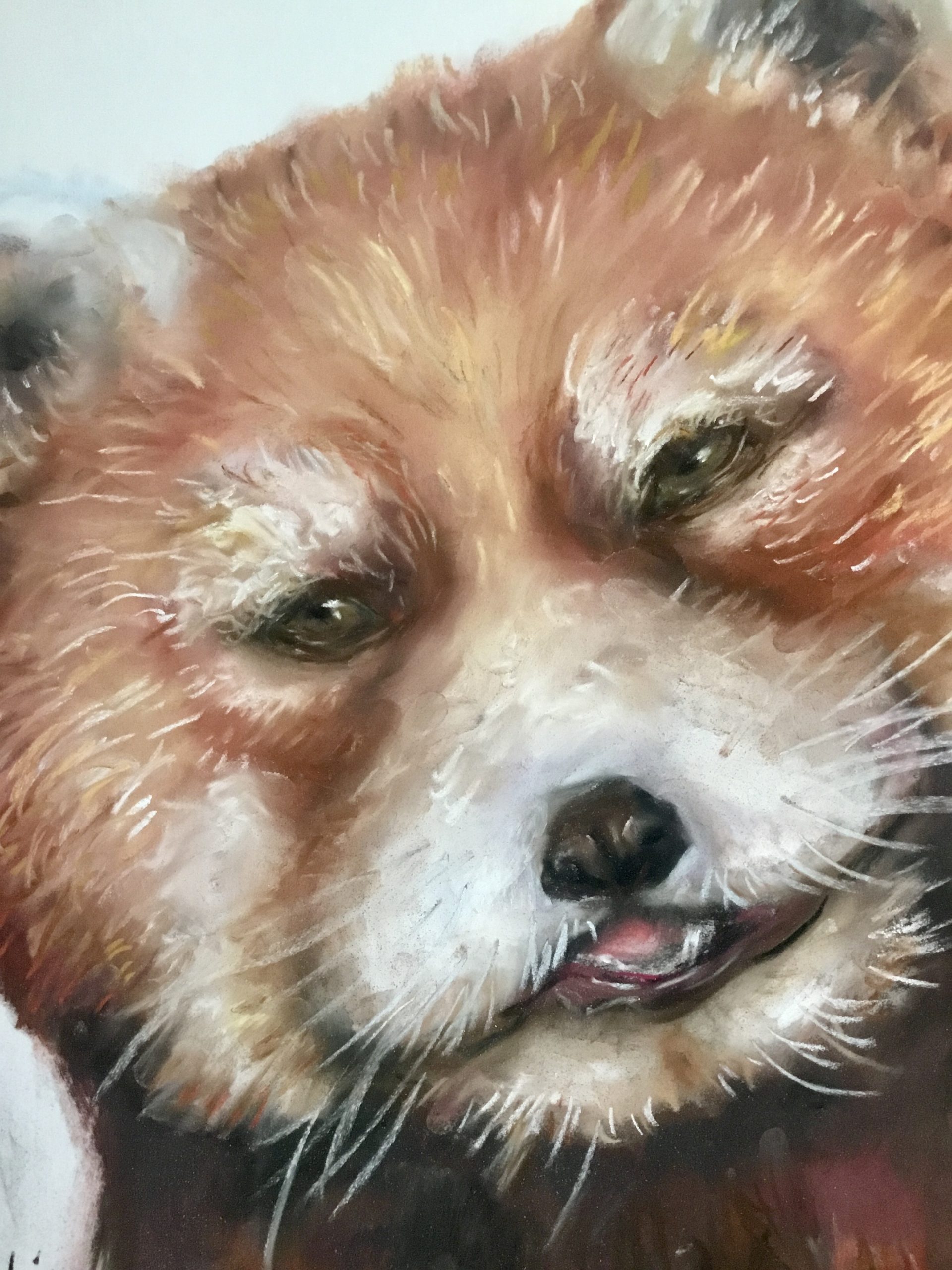 Red panda painting