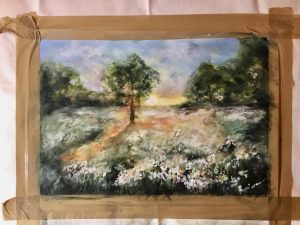 White flowers in the fields on sunrise