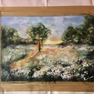 White flowers in the fields on sunrise
