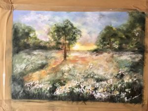 White flowers in the fields on sunrise