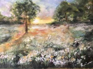 White flowers in the fields on sunrise