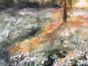 White flowers in the fields on sunrise