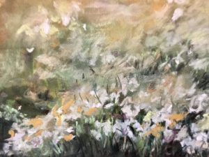 White flowers in the fields on sunrise