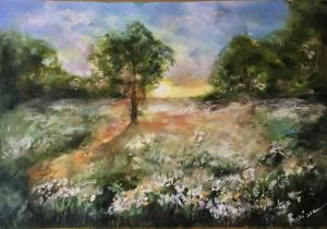 White flowers in the fields on sunrise