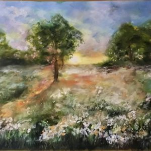White flowers in the fields on sunrise
