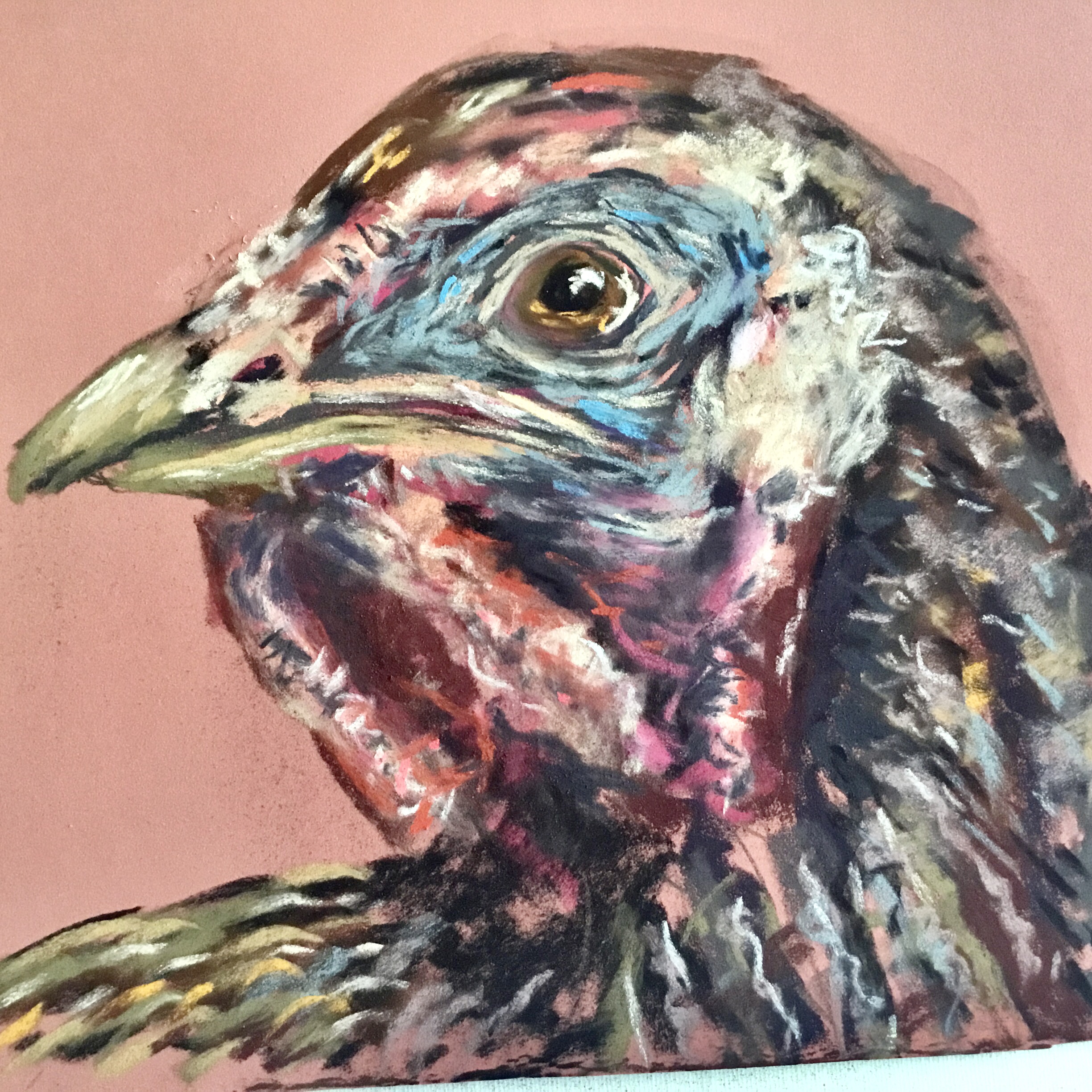 Pastel Turkey Portraits – Set of 2 Original Bird Paintings, Pink Farmhouse Wall Art, Expressive Turkey Artwork, 25x35 cm Unframed
