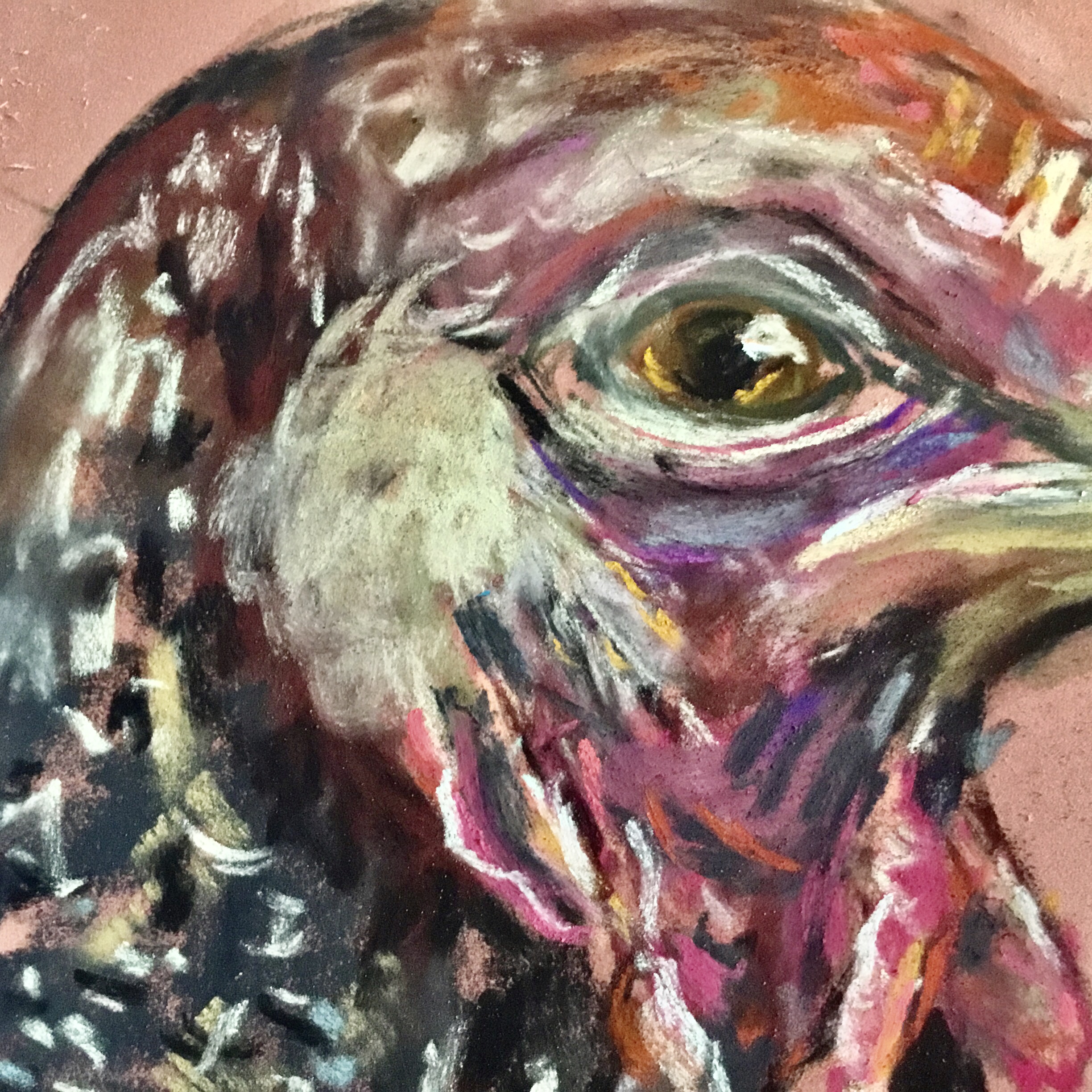 Pastel Turkey Portraits – Set of 2 Original Bird Paintings, Pink Farmhouse Wall Art, Expressive Turkey Artwork, 25x35 cm Unframed