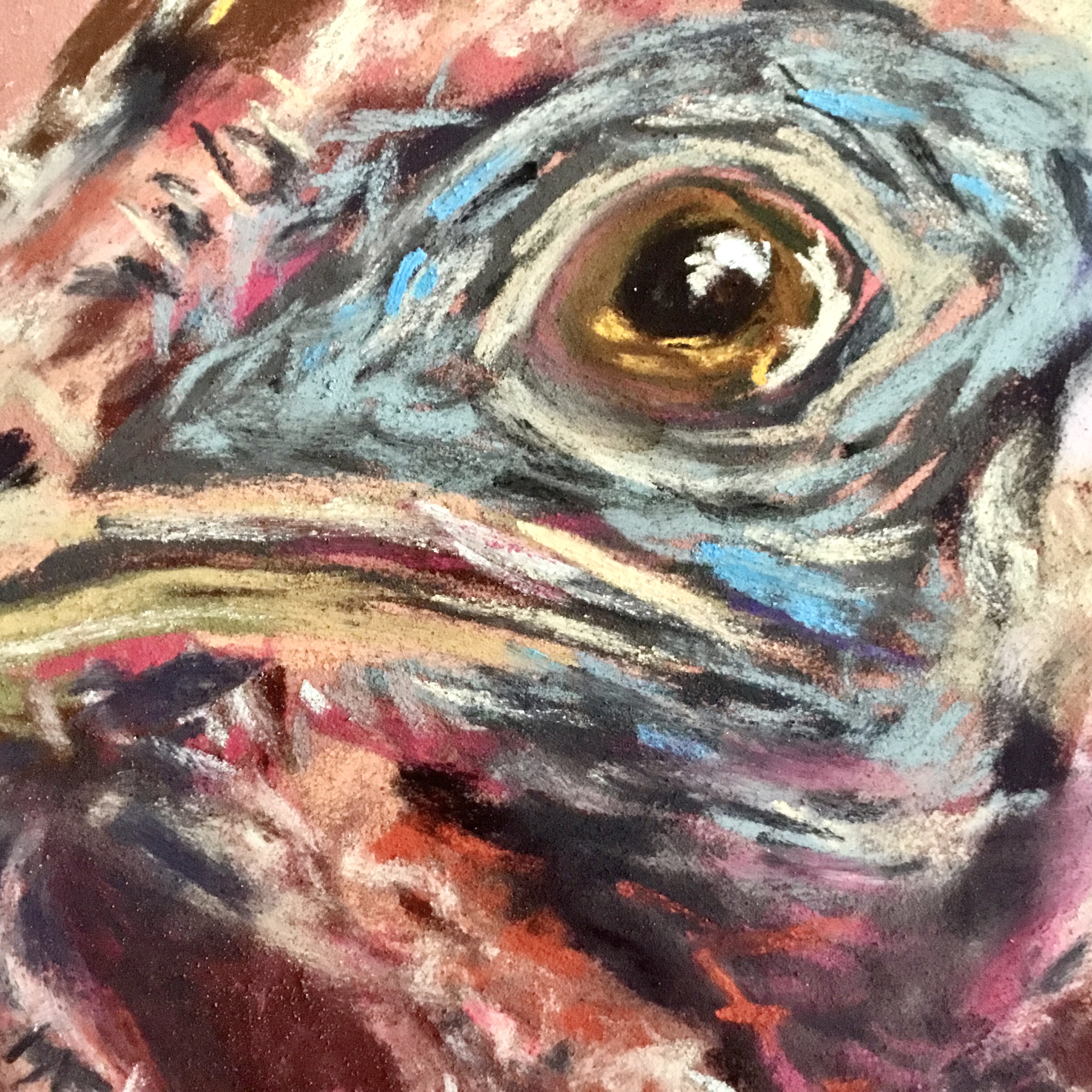 Pastel Turkey Portraits – Set of 2 Original Bird Paintings, Pink Farmhouse Wall Art, Expressive Turkey Artwork, 25x35 cm Unframed